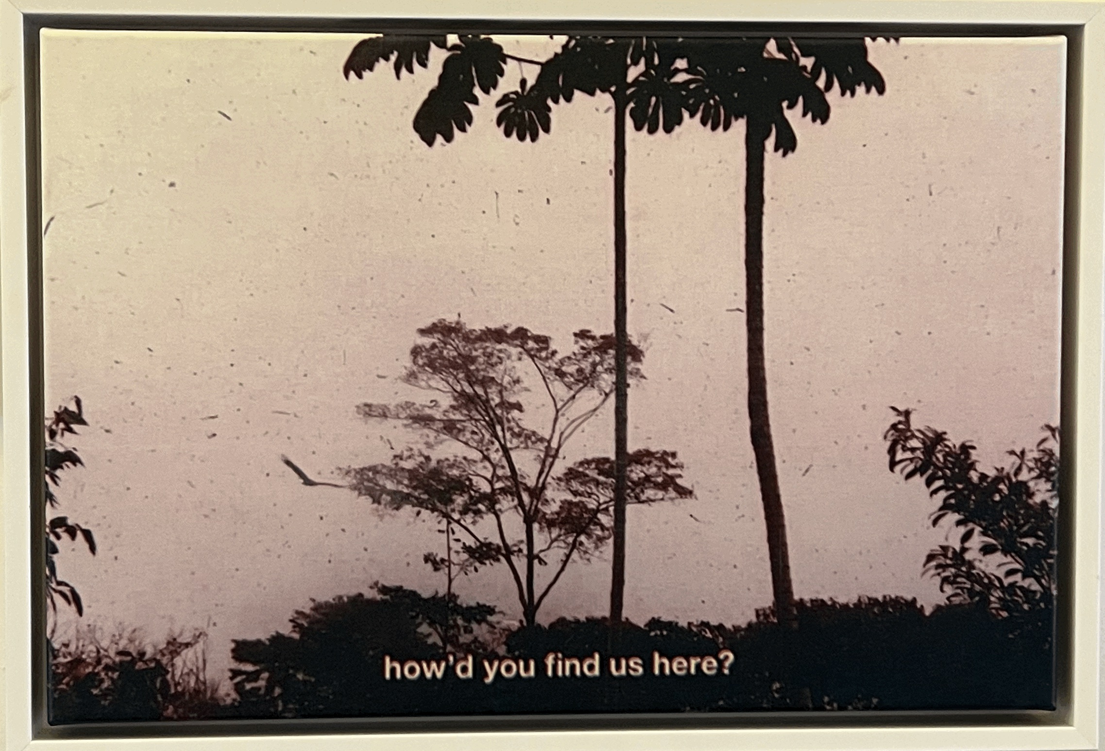 How'd You Find Us Here