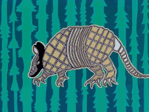 Forest Armadillo