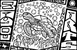 Kemp's ridley sea turtle design