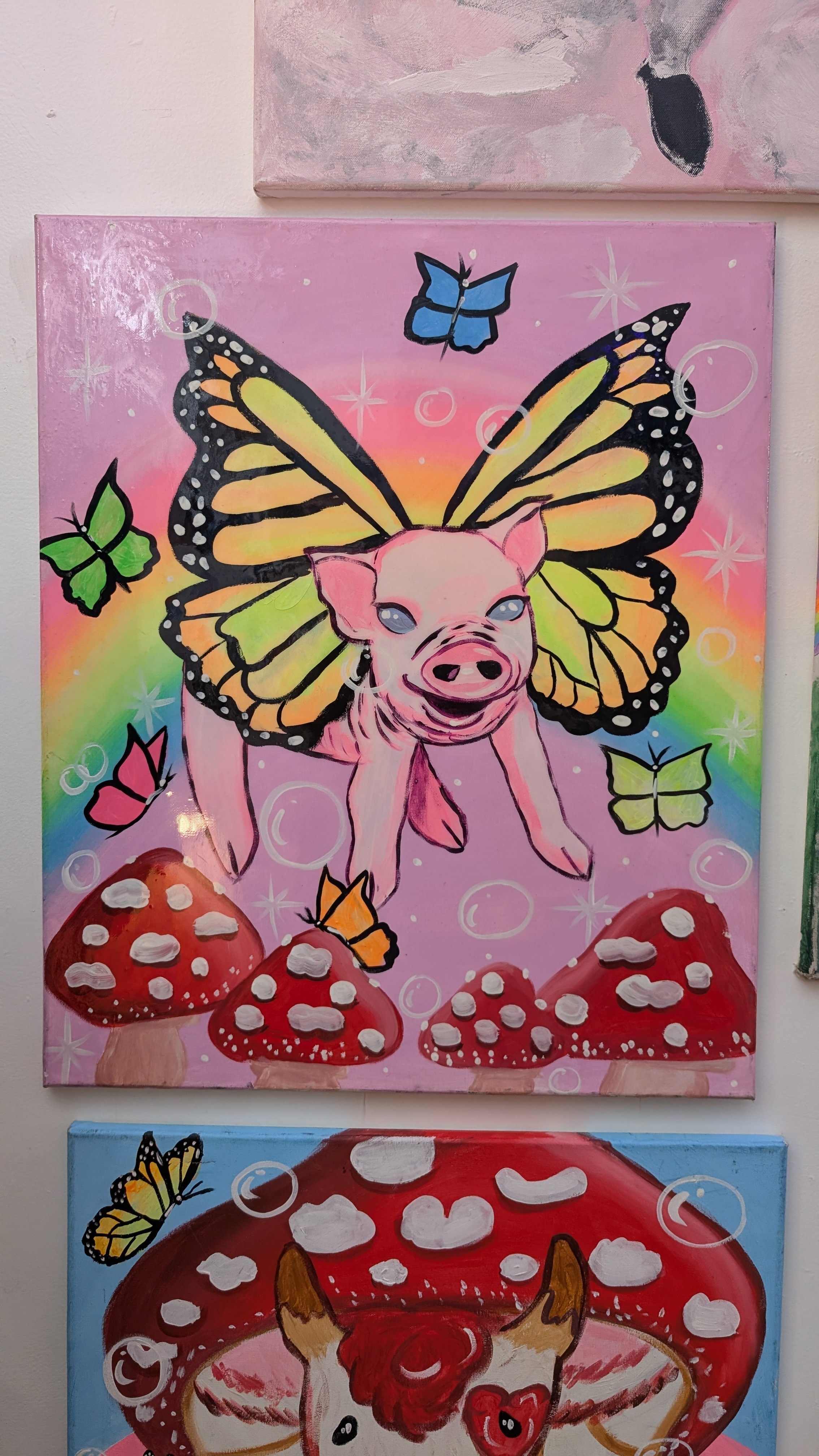Pig butterfly 